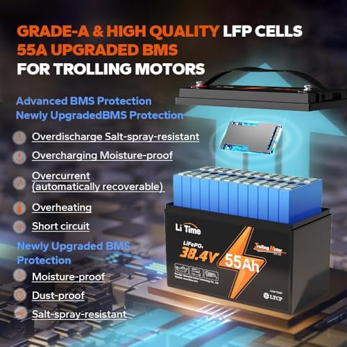 grade-a & high quality LFP CELLS 55A upgraded BMS