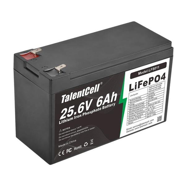 24V 6Ah LiFePO4 Battery