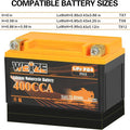 compatible battery sizes