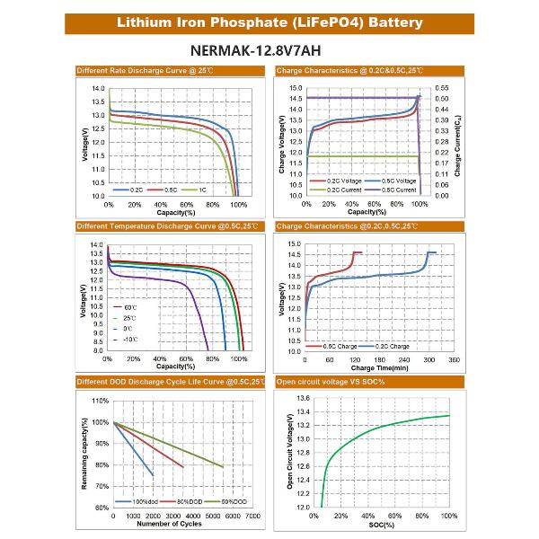 Lithium Iron Phosphate Battery