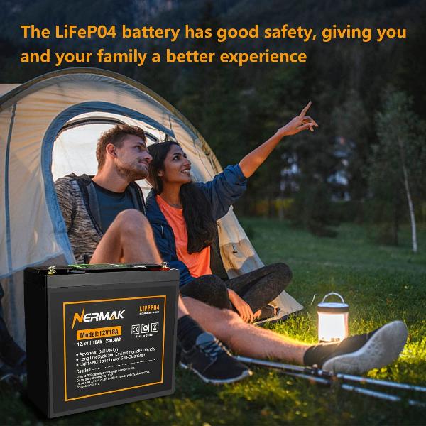 the LiFePO4 battery