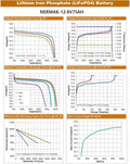 LiFePO4 battery nermak-12.V75ah